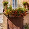 Particolare floreale - Tossicia (Abruzzo)